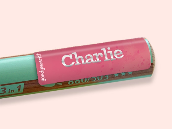 Kleine Aquarel naamstickers met goud/zilver