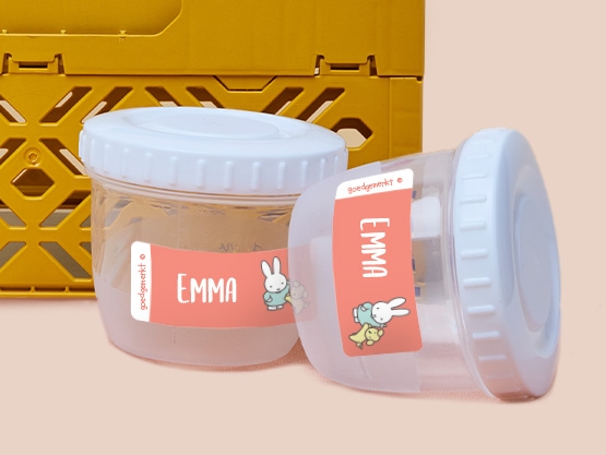 Nijntje Naamstickers