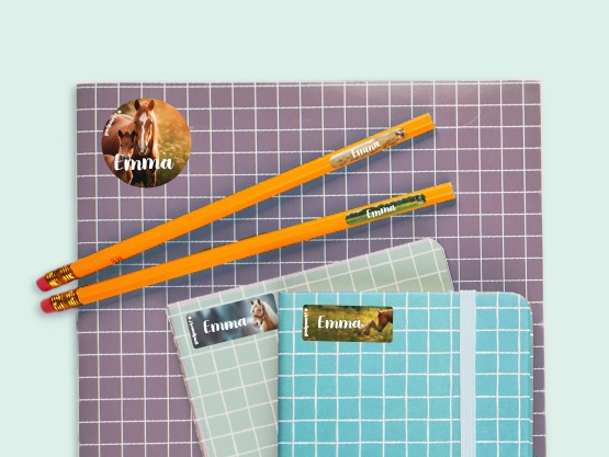 Super Deal - Real World