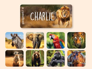 Real World Kledingstickers