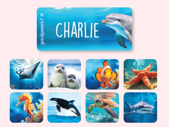 Real World Kledingstickers