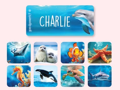 Real World Kledingstickers