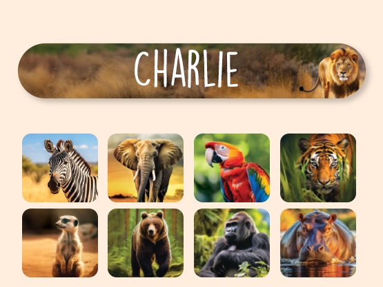 Mini Real World Naamstickers