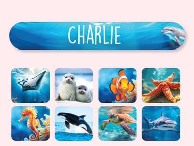 Mini Real World Naamstickers