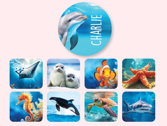 Ronde Real World Naamstickers