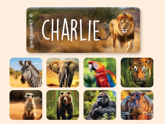 Kleine Real World Naamstickers