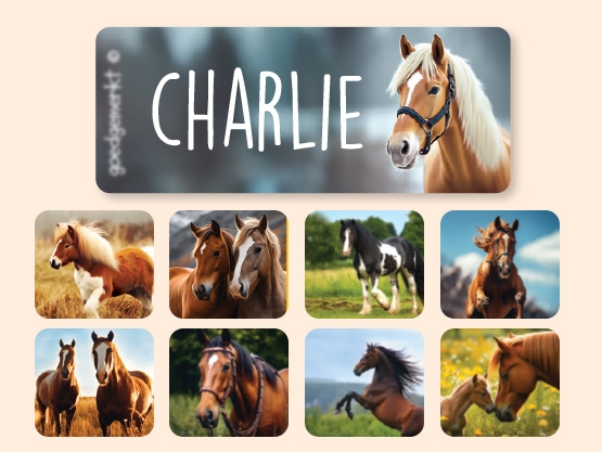 Kleine Real World Naamstickers