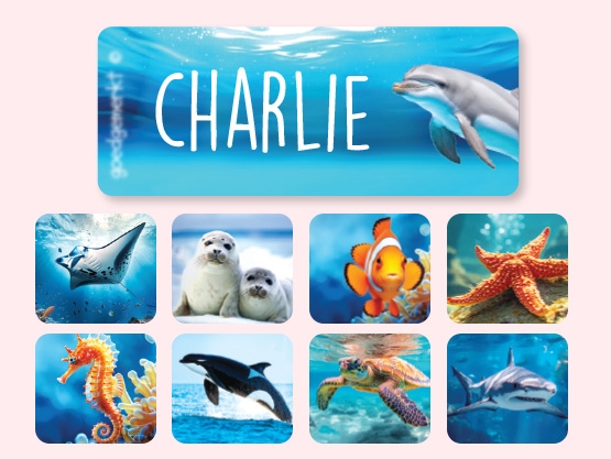 Kleine Real World Naamstickers